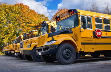 row-of-school-buses-outdoors-autumn